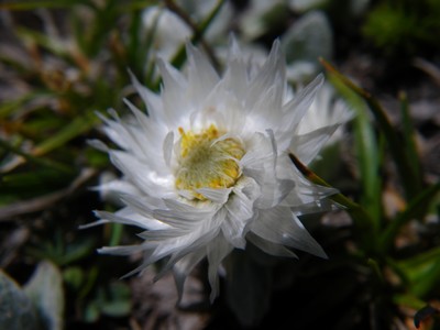 imgp1262