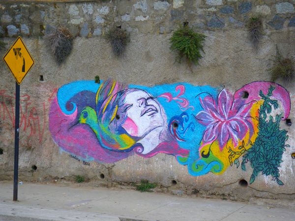 imgp9071