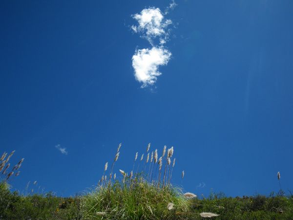 imgp0012