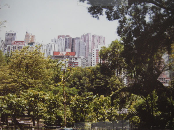 IMGP1688