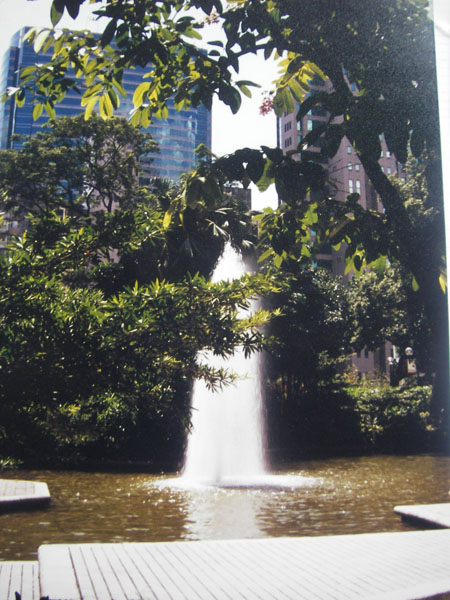 IMGP1694