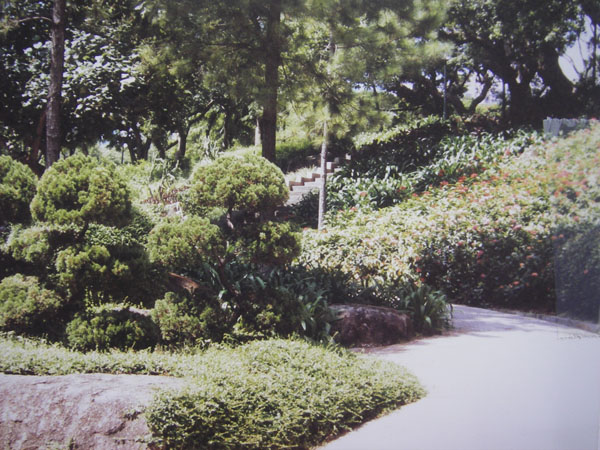 IMGP1695